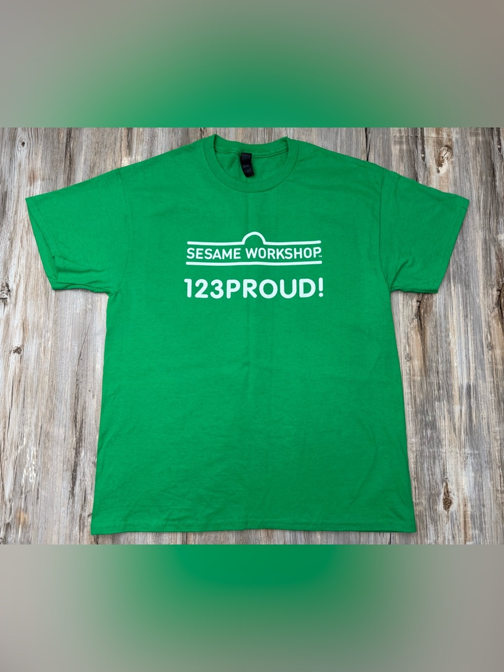 Sesame Street Workshop 123 Proud Graphic Tee Men Large Green Gildan Double Side